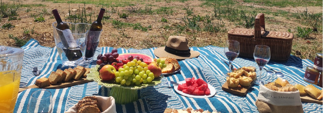 Piquenique nas vinhas com prova de vinho - Quinta do Sampayo