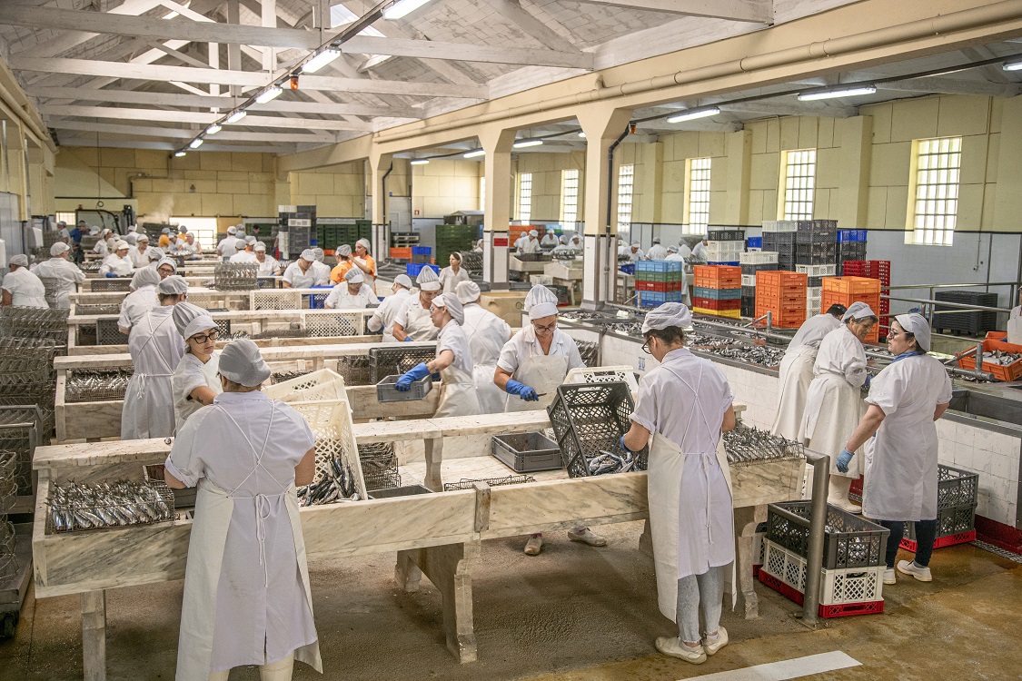 Visita à Fábrica de Sardinhas com prova de vinho - Conservas Pinhais (Bilhete completo)