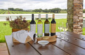 Marquês de Borba - João Portugal Ramos