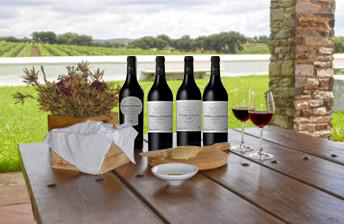 Single Vineyards - João Portugal Ramos