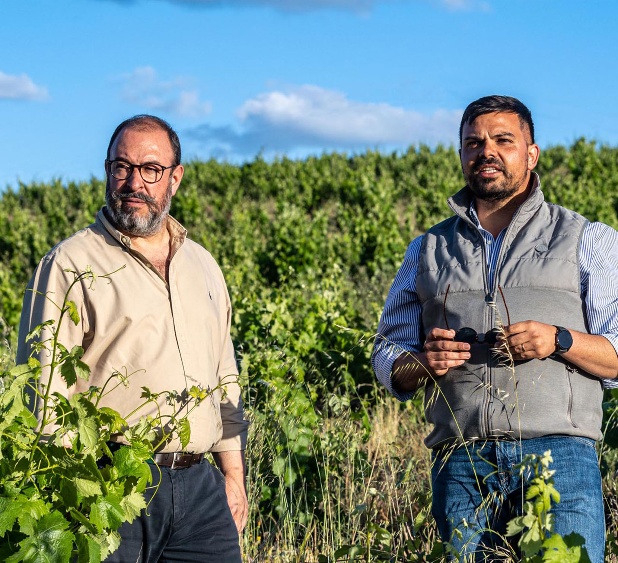 Visita com prova de vinhos “Seleção do Enólogo” - Herdade das Servas