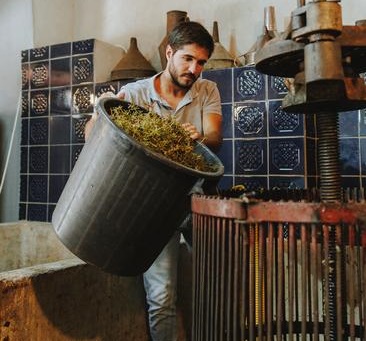 Enólogo Por Um Dia! - Margaval Vinhos